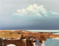 Jan Groenhart - Licht water en land 