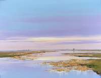 Jan Groenhart - Mooi zacht licht 