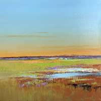 Jan Groenhart - Plat land